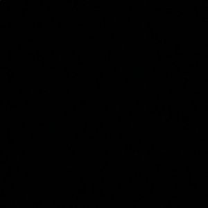 Meet your Posher, Eli